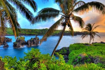 manoa fallen god